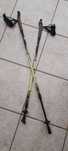 Kijki do nordic walking
