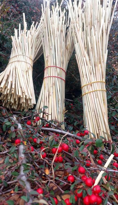 Соломка для плетіння, павуків, зірочок