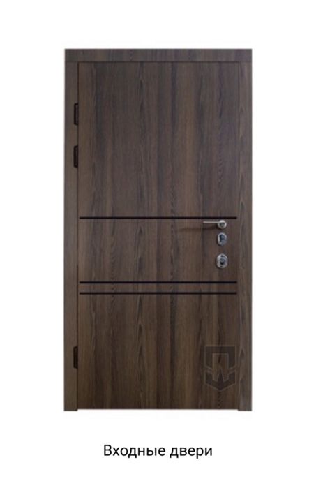 Двері вхідні 2300*880мм