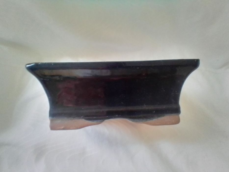 Vasos Bonzai diversos