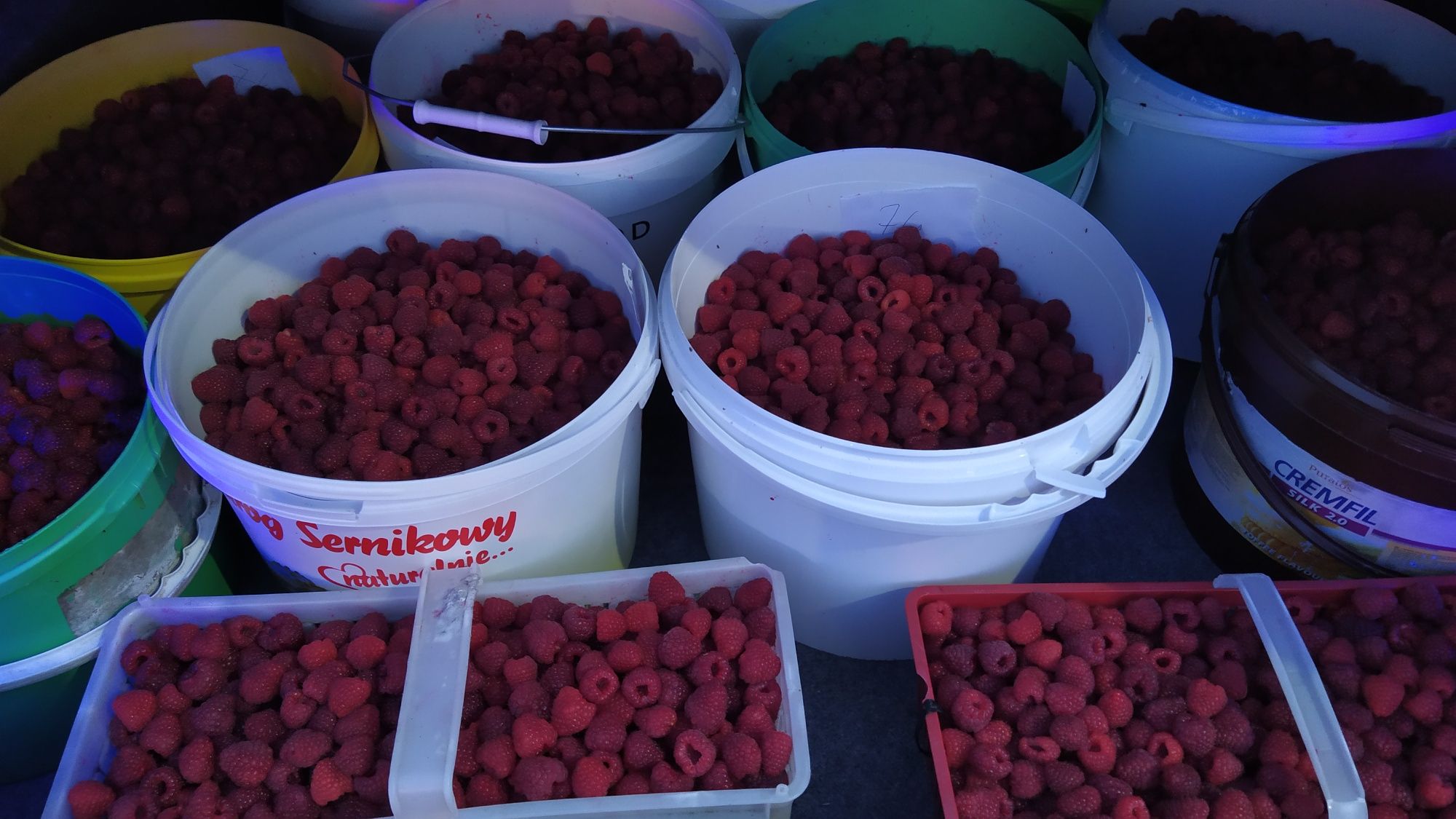 Świeże maliny, dowóz gratis