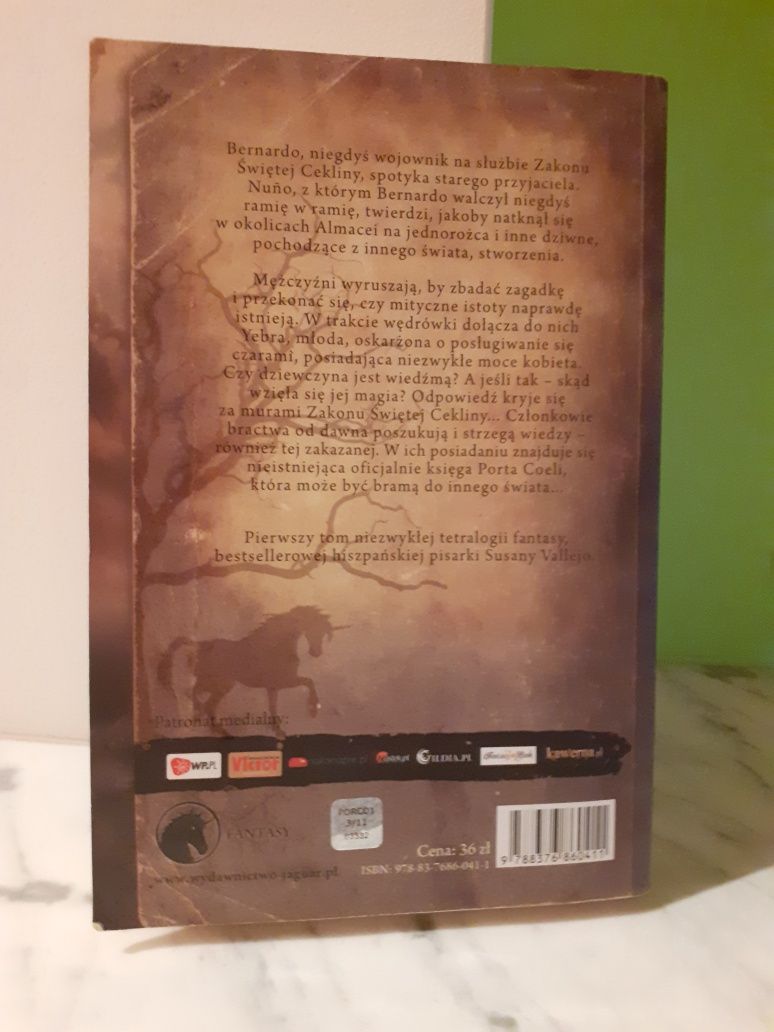 Porta Coeli Brama Światów Susana Vallejo fantasy fantasyka