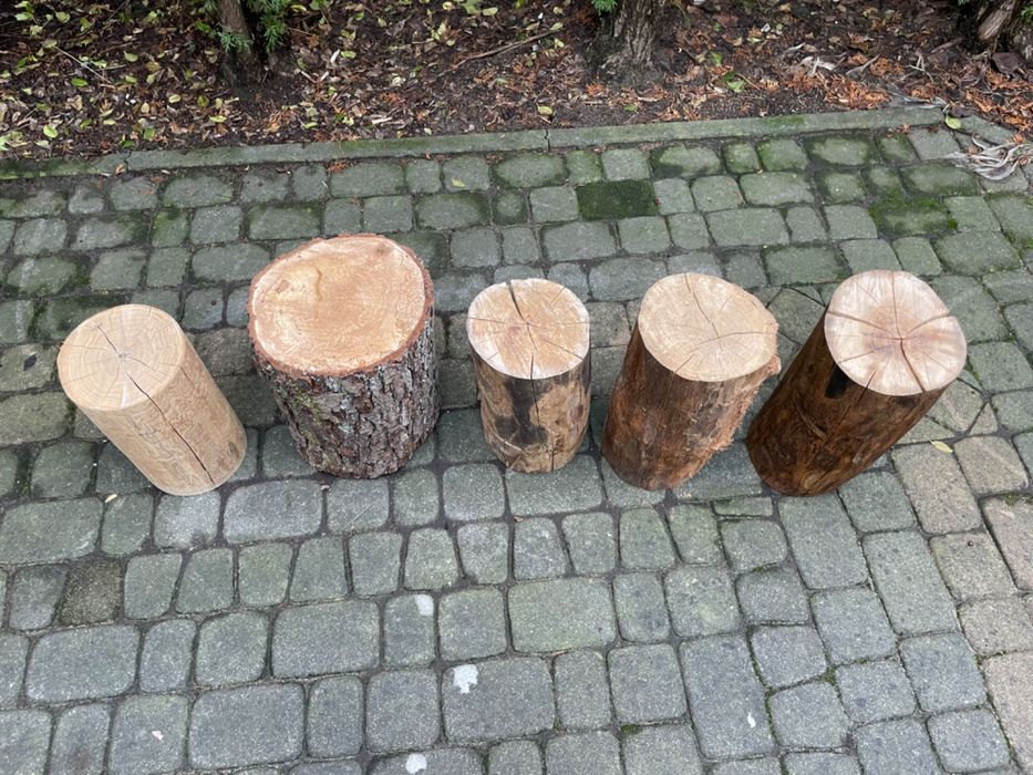 Pieńki dębowe ogrodowe, stołek z pnia, pieniek do rąbania drewna