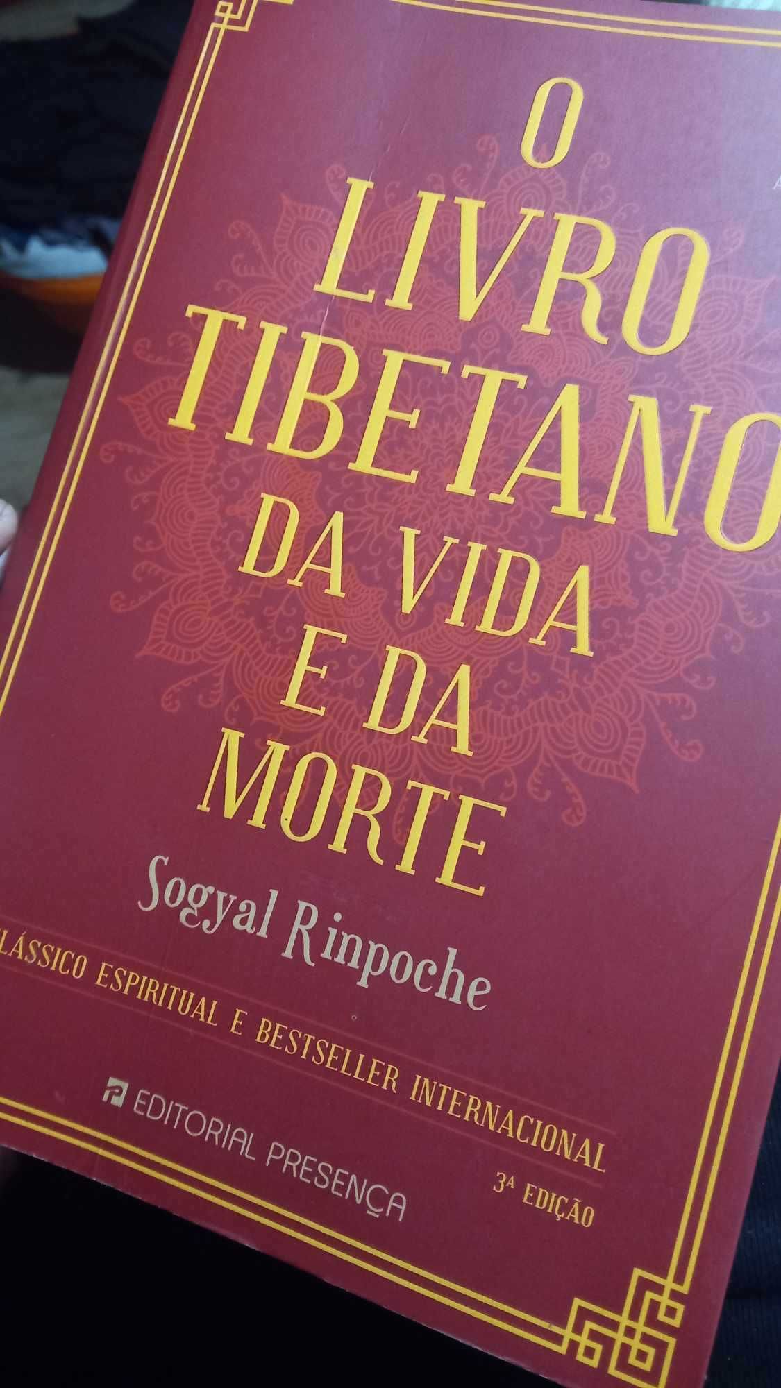 O livro tibetano da vida e da morte