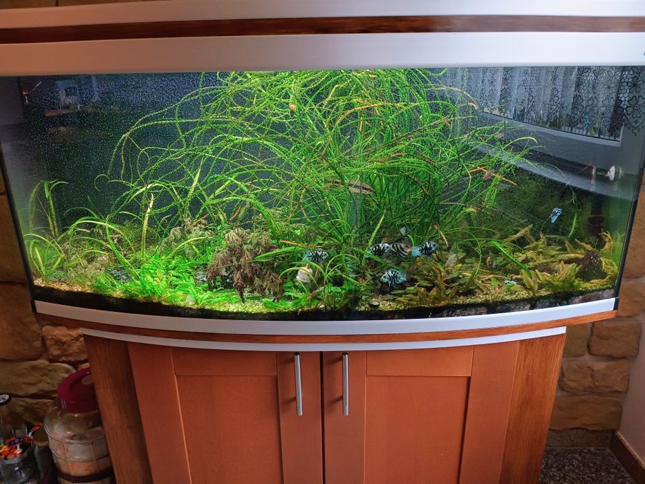 Akwarium kompletne