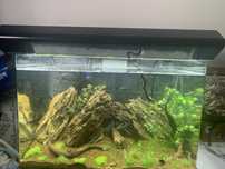 Calha led aquario 60cm