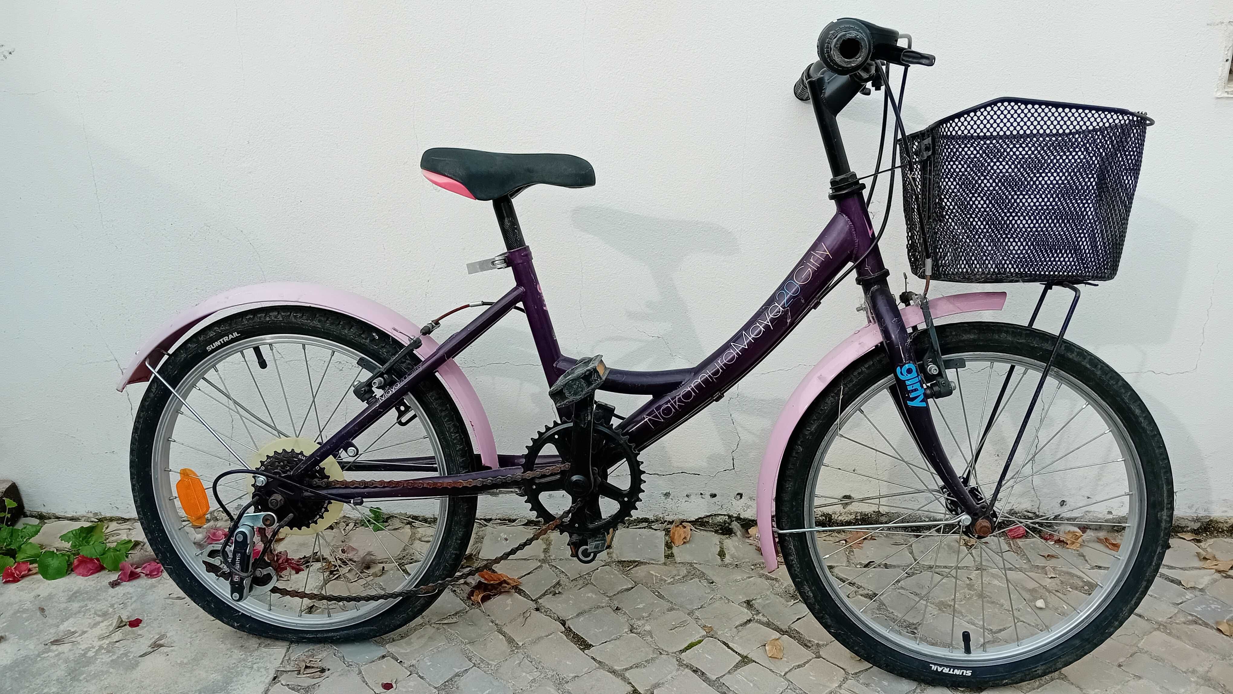 Bicicleta de criança