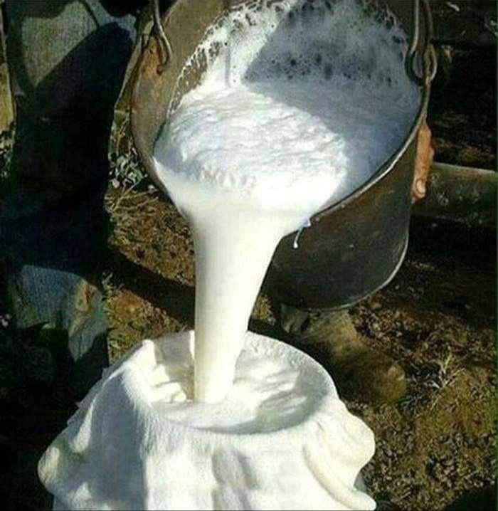 Mleko 100 % kozie,sery, jogurt WYSYŁKA