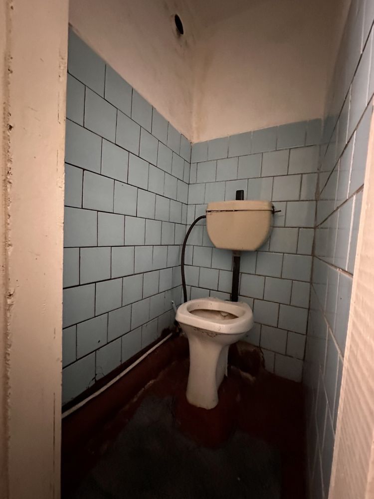 Продаж будинку, Велика Багачка, 10соток