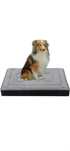 Legowisko memory foam 100×70 cm – komfort i redukcja nacisku