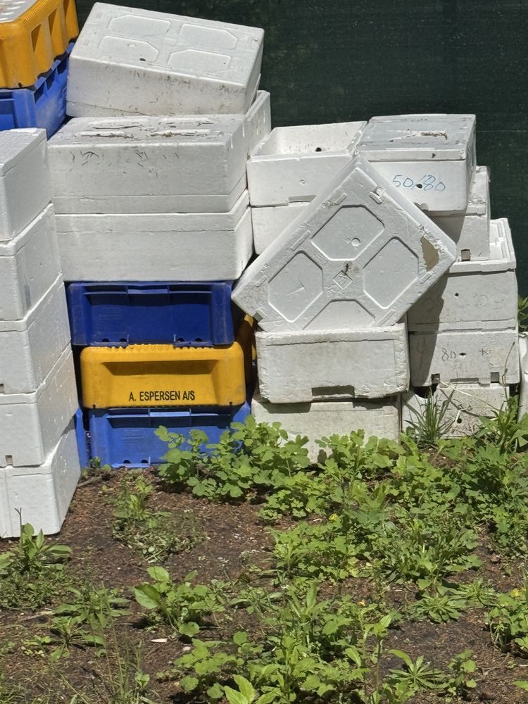 Styrobox termobox