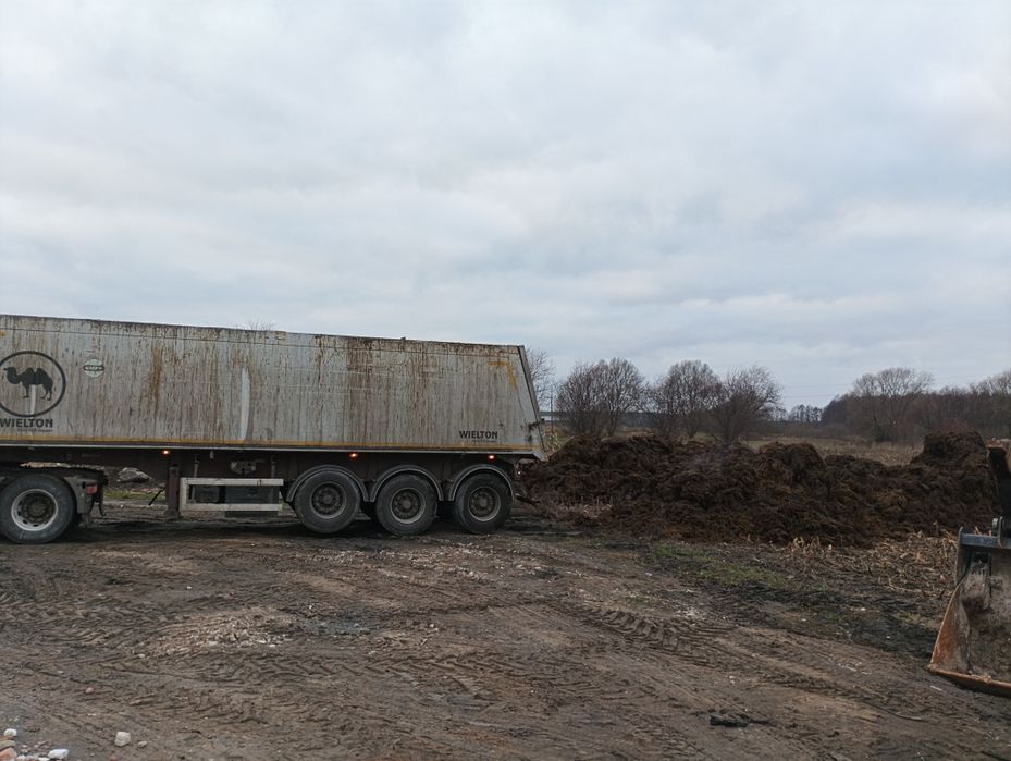 Obornika bydlęcy od krów krowi dostawy 25 ton