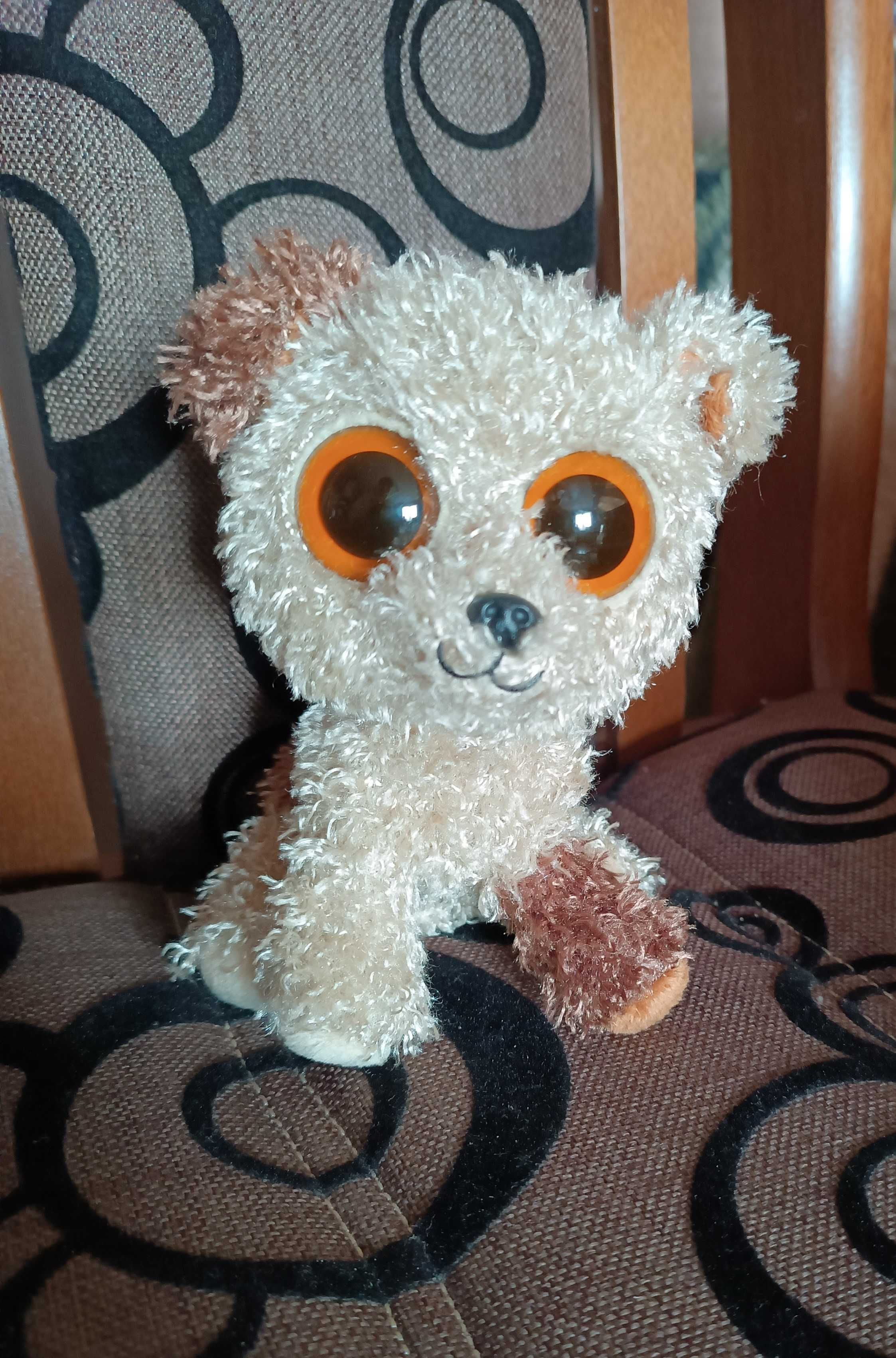Maskotka pies piesek duże oczy Ty Beanie Boos ROOTBEER Dog