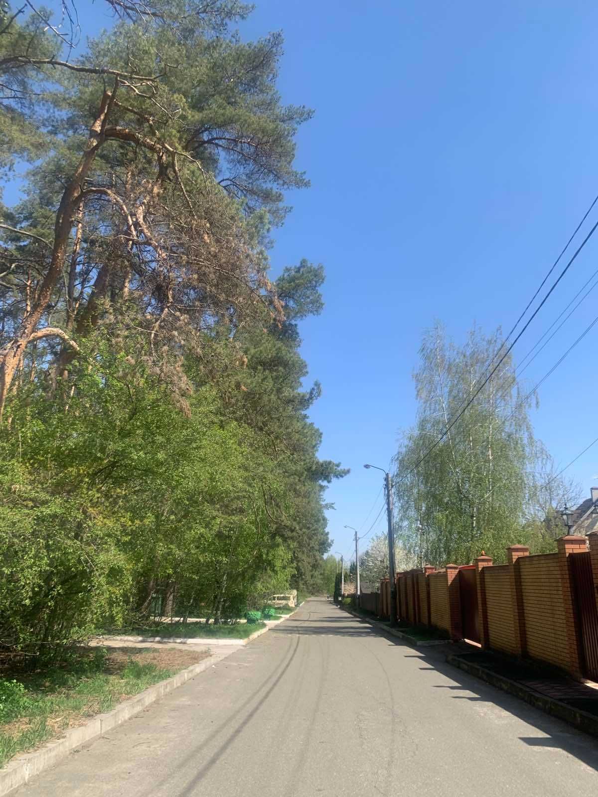 Продам  ділянку біля лісу   Петропавлівська Борщагівка