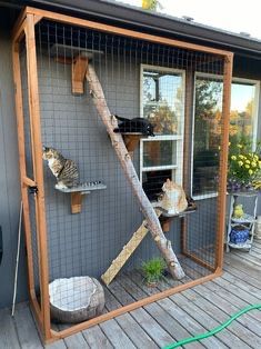 Gatil Exterior (Abrigo exterior para gatos)