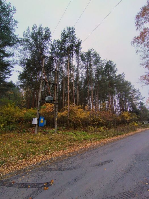 Działka leśna Las Dobków-Julianów gm. Wodzierady droga asfaltowa