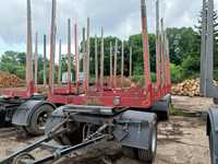 PAVIC DOLL MHS  Przyczepa do transportu drewna drzewa ciężarowa PAVIC DOLL MHS