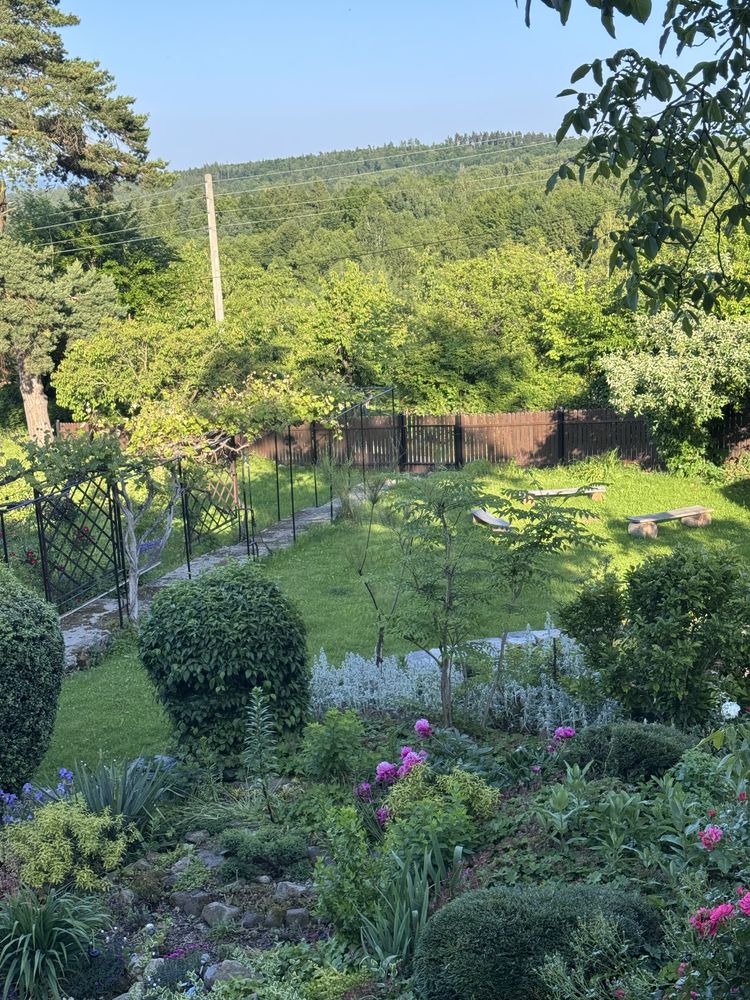 Apartament „Na Skraju Lasu” Polanica Zdrój. Wolne terminy.
