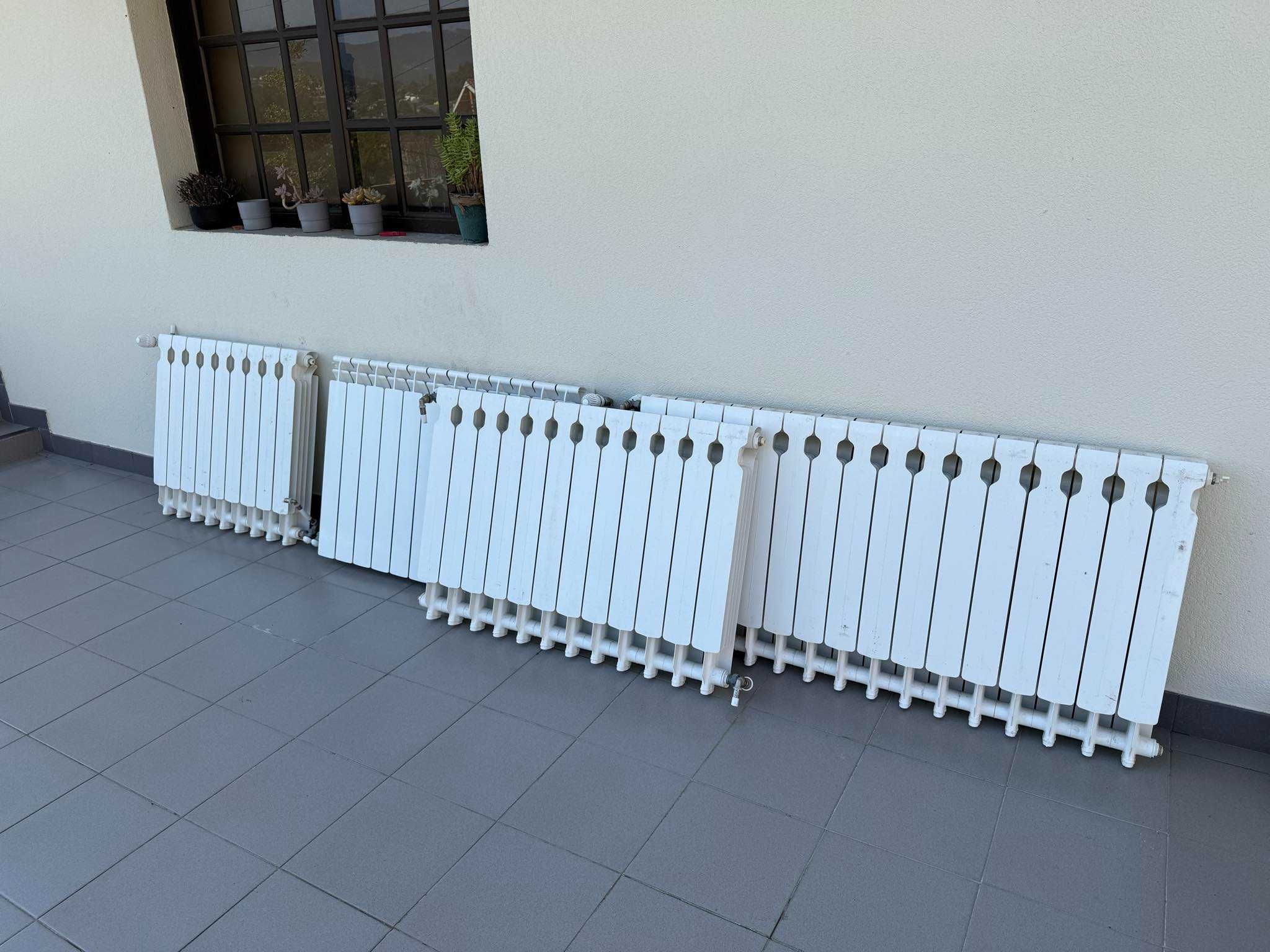 Caldeira a pellets Ecoforest modelo Cantina Super 29kw