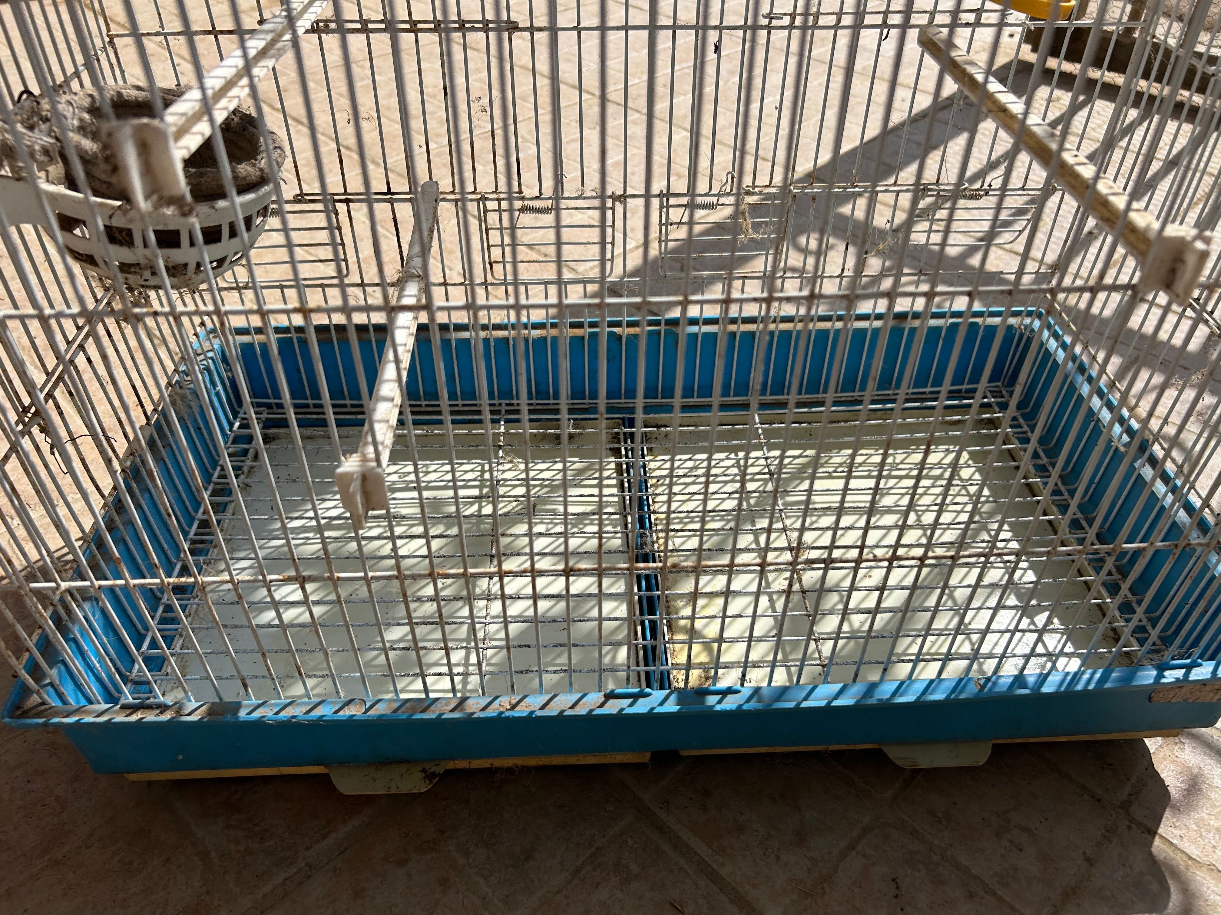 Gaiola para passarinhos