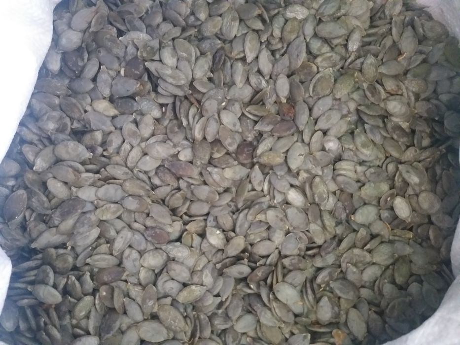 Голосімяне насіня на посів