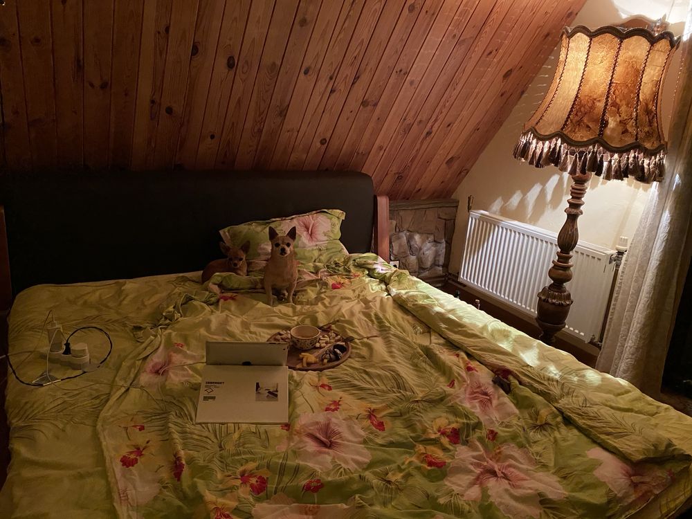 Ліжко з деревʼяним каркасом без матрацу 180х200