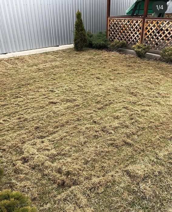 Аренда аэратора скарификатора  для газона Al-ko