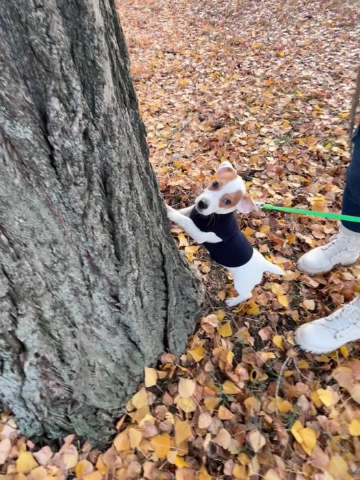 Сладкий малыш ищет маму