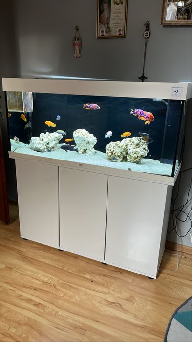 Akwarium Juwel Rio 240