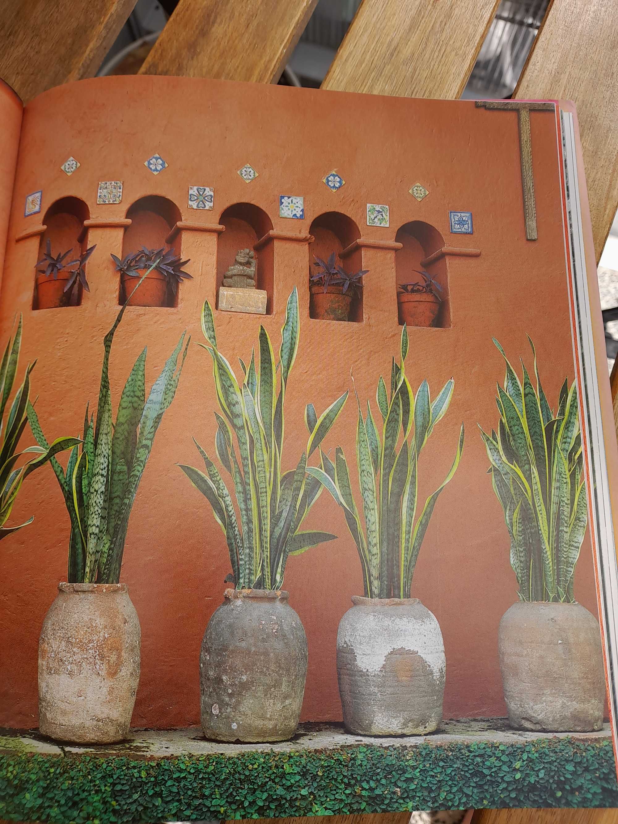 Livro "Living in México "