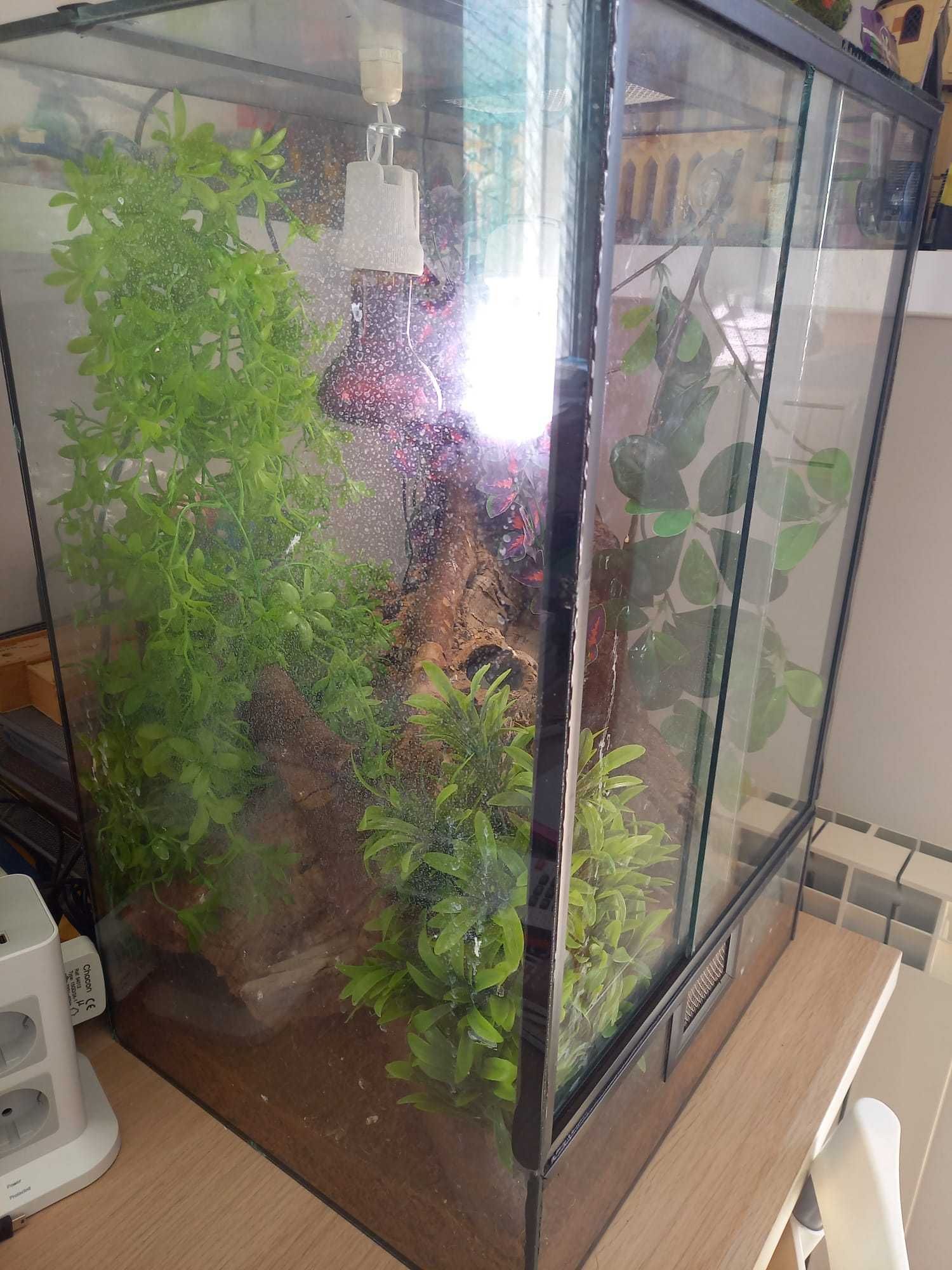 Terrário / Reptilário para Répteis (altura 60cm x 40cm x 35cm)