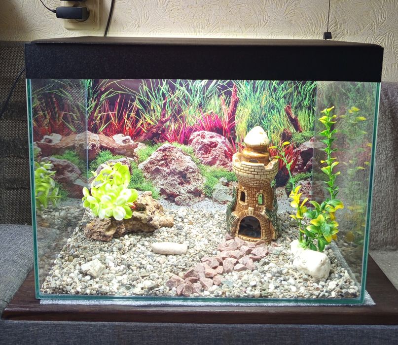 Аквариумы 40 л.со всем необходим
