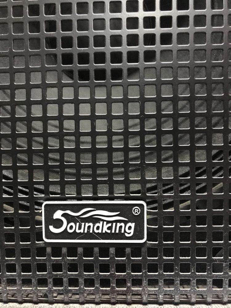 Колонки Soundking f 1042