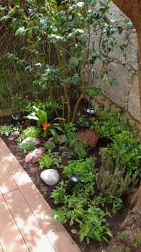 Jardineiro/Construção e manutenção de Jardins e hortas