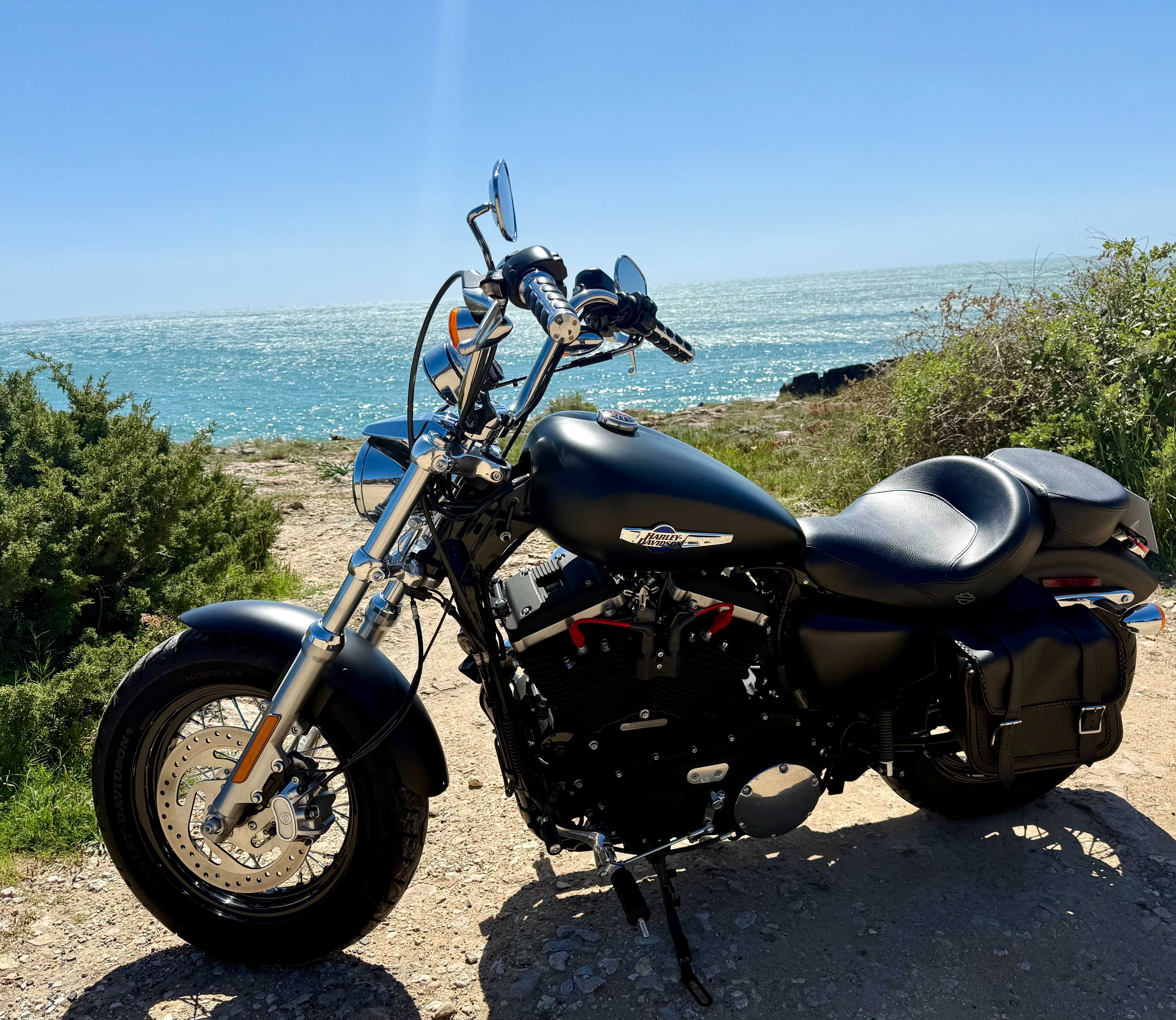 Harley Davidson XL 1200 Custom