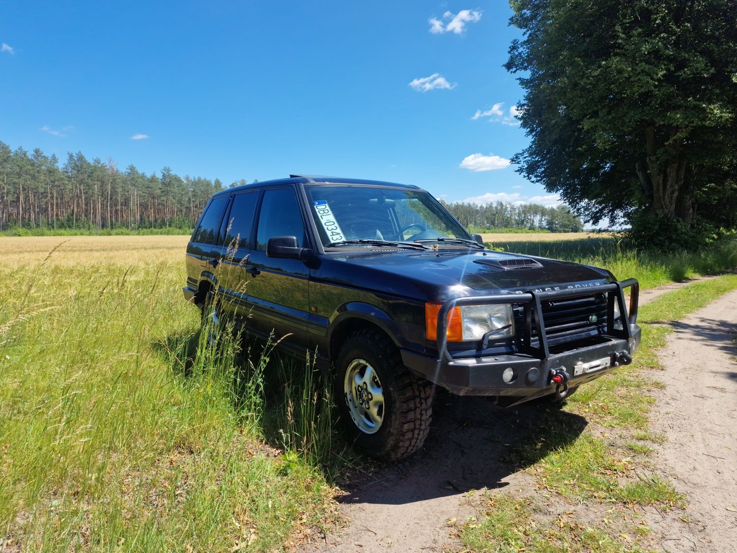Range rover p38 4.6v8