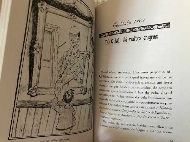 Livro "As crónicas de Spiderwick" /Livro 1 (com portes)