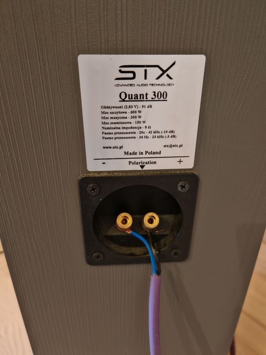 Kolumny podłogowe STX Quant 300