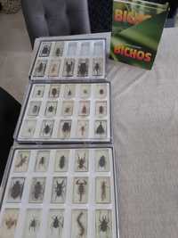 Coleção Dos Bichos(2 caixas completas e uma semi)