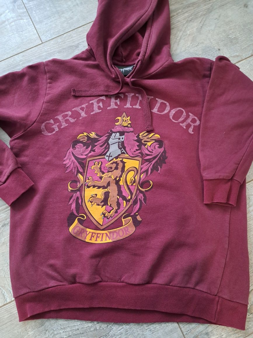 Harry Potter Gryfindor bluza z kapturem
Stan dobry
Rozmiar z metki 16