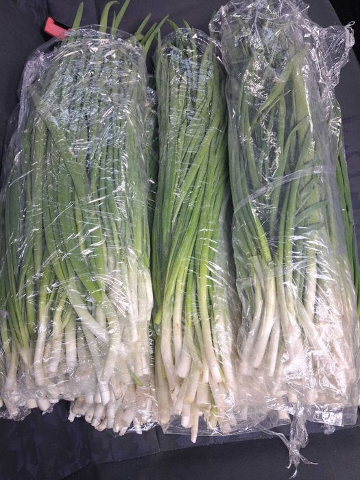 Продаю перо цибулі