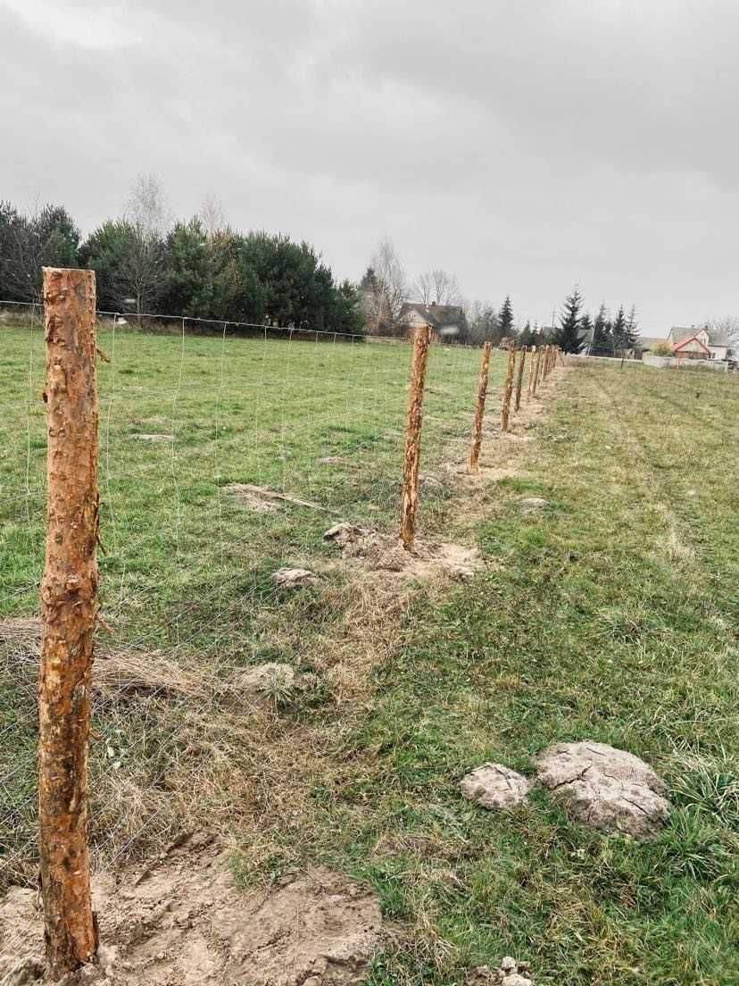 Ogrodzenie Leśne Budowlane Tymczasowe