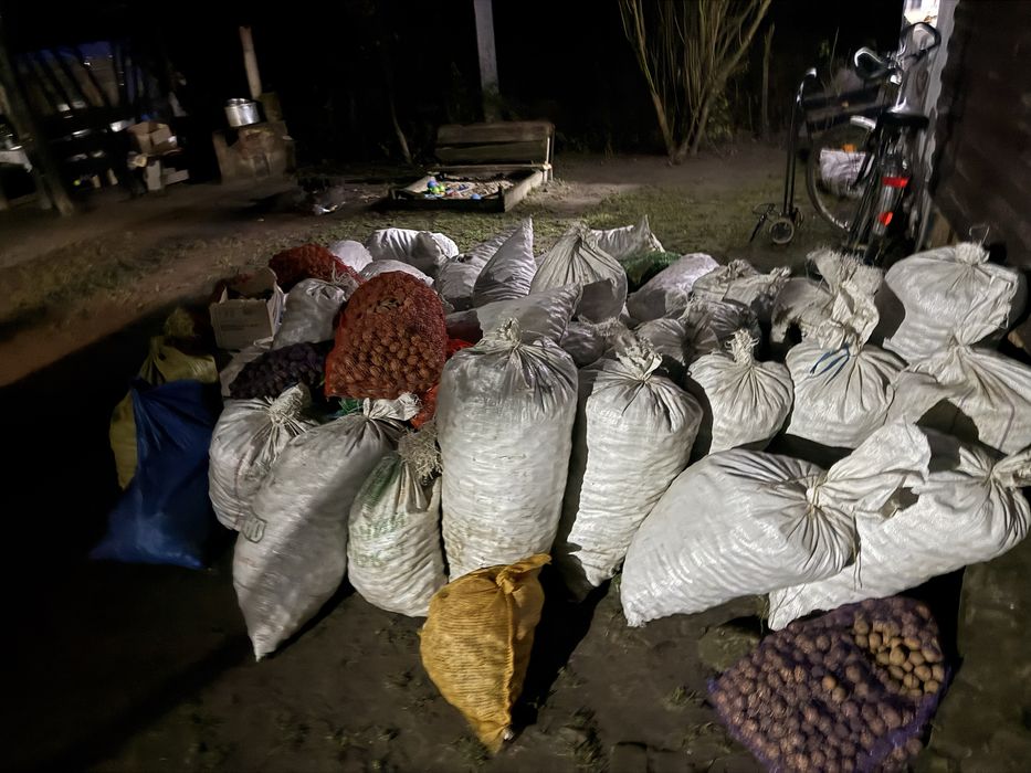 Продам горіхи цьогорічні