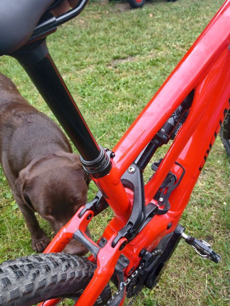 Rower Elektryczny Specialized. W pełni zintegrowany silnik Levo Turbo