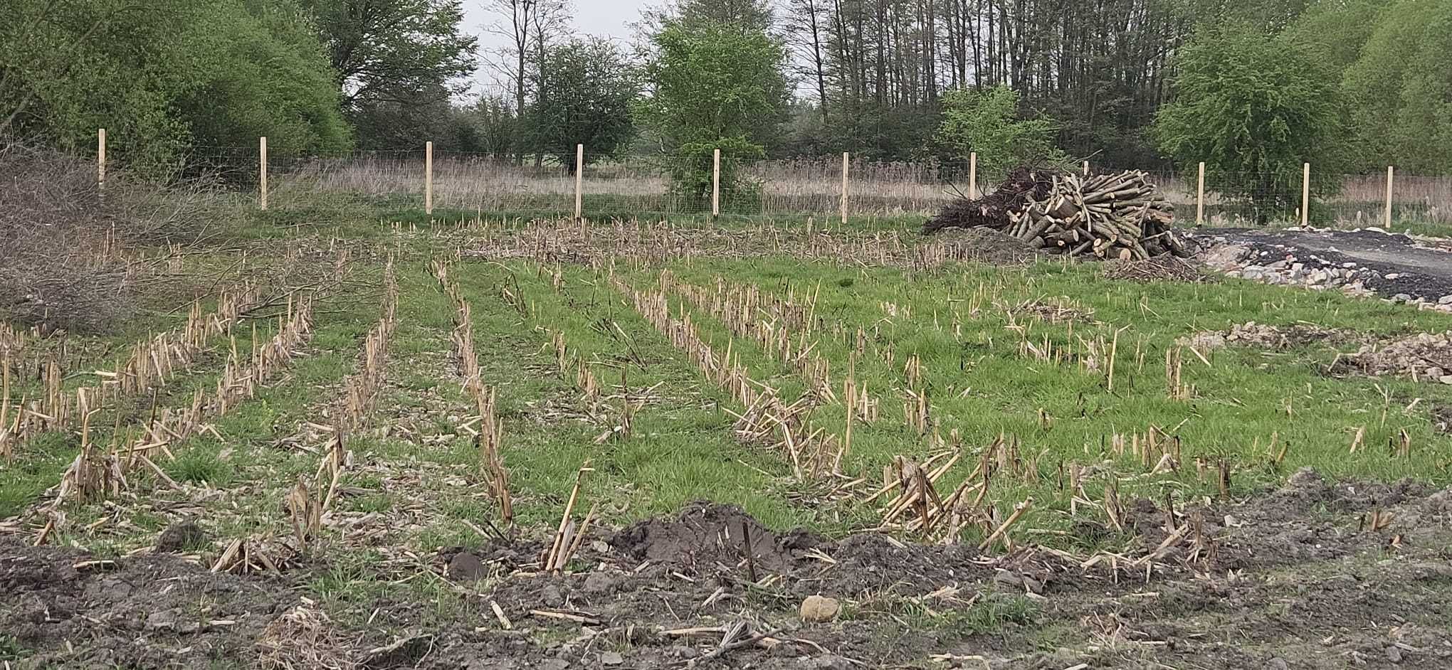 przyjmę ziemię bez odpadów budowlanych Bielawa k/ Długołęki