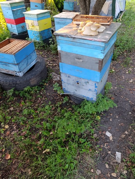 Продам улья 12ти и 10ти рамочные