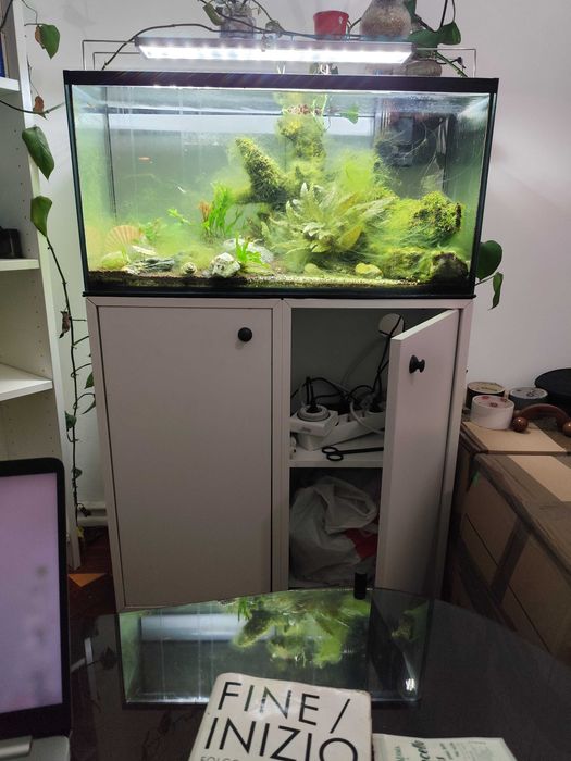 Aquário 70L - 70x35x30