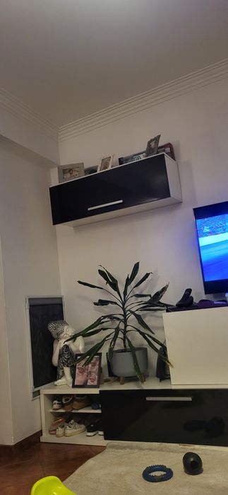 Móvel TV e Móvel  de parede