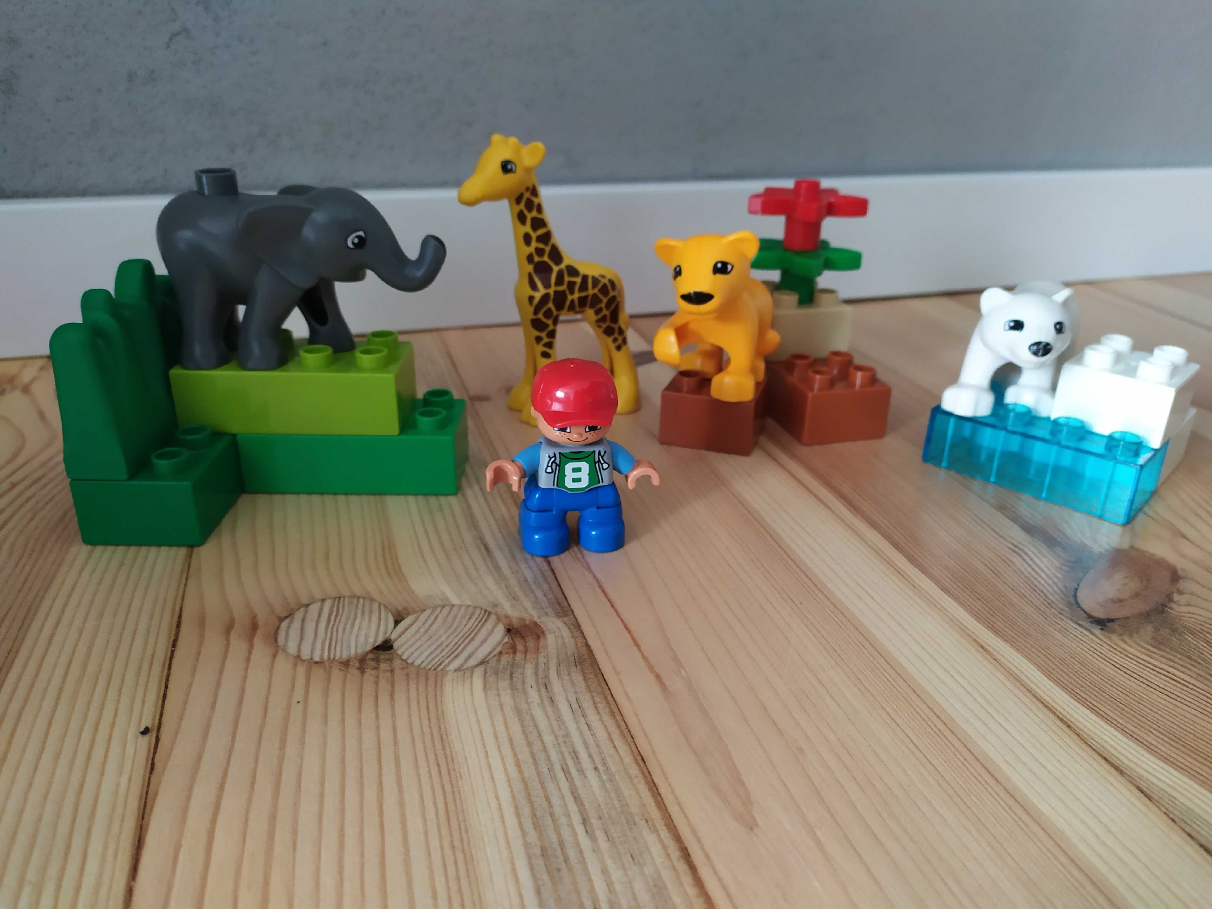 LEGO Duplo małe zoo 4962 i dodatkowe klocki z kotem