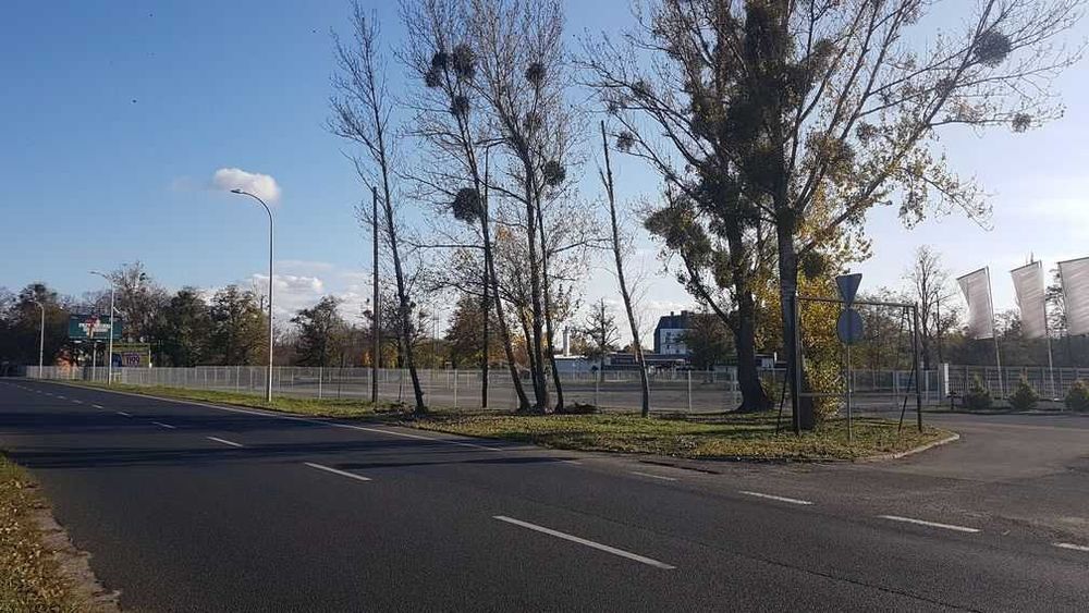 Plac 3200 m2 do wynajęcia w top lokalizacji - ul. Wrocławska Opole